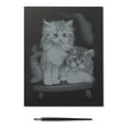 thumbnail image 2 of Reeves Scraperfoil Silver - Fluffy Kittens, 2 of 2