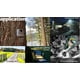 thumbnail image 1 of Detector de movimiento inteligente para exteriores YOLink, alarma de e, 1 of 2