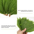 thumbnail image 4 of 50pcs Fake Magnolia Hojas de la planta artificial Hojas Simuladas de hojas de planta verde, 4 of 5