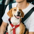 thumbnail image 4 of Car Pet Belt Dog Car Leash Cute Pet Car Adjustable Rope Rope, 4 of 4