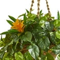 thumbnail image 2 of Nearly Natural Plastic 31" Bromeliad & Pothos Artificial Plant in Hanging Basket, Green, 2 of 3