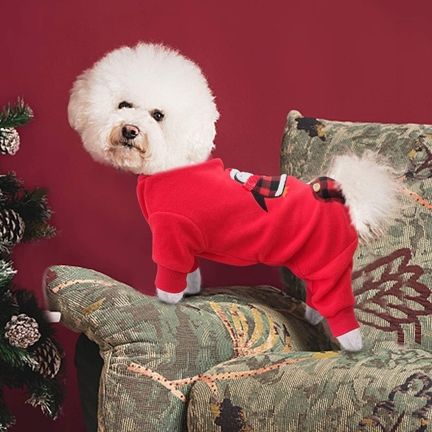 Bichon pyjamas cheap