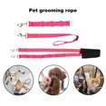 thumbnail image 3 of 3pcs Kit de Toilettage pour Animaux de Compagnie avec Anneau de Toilettage Multi-Fonctionnel Sangle d'Extension Réglable Corde de Toilettage pour Animaux de Compagnie, 3 of 8