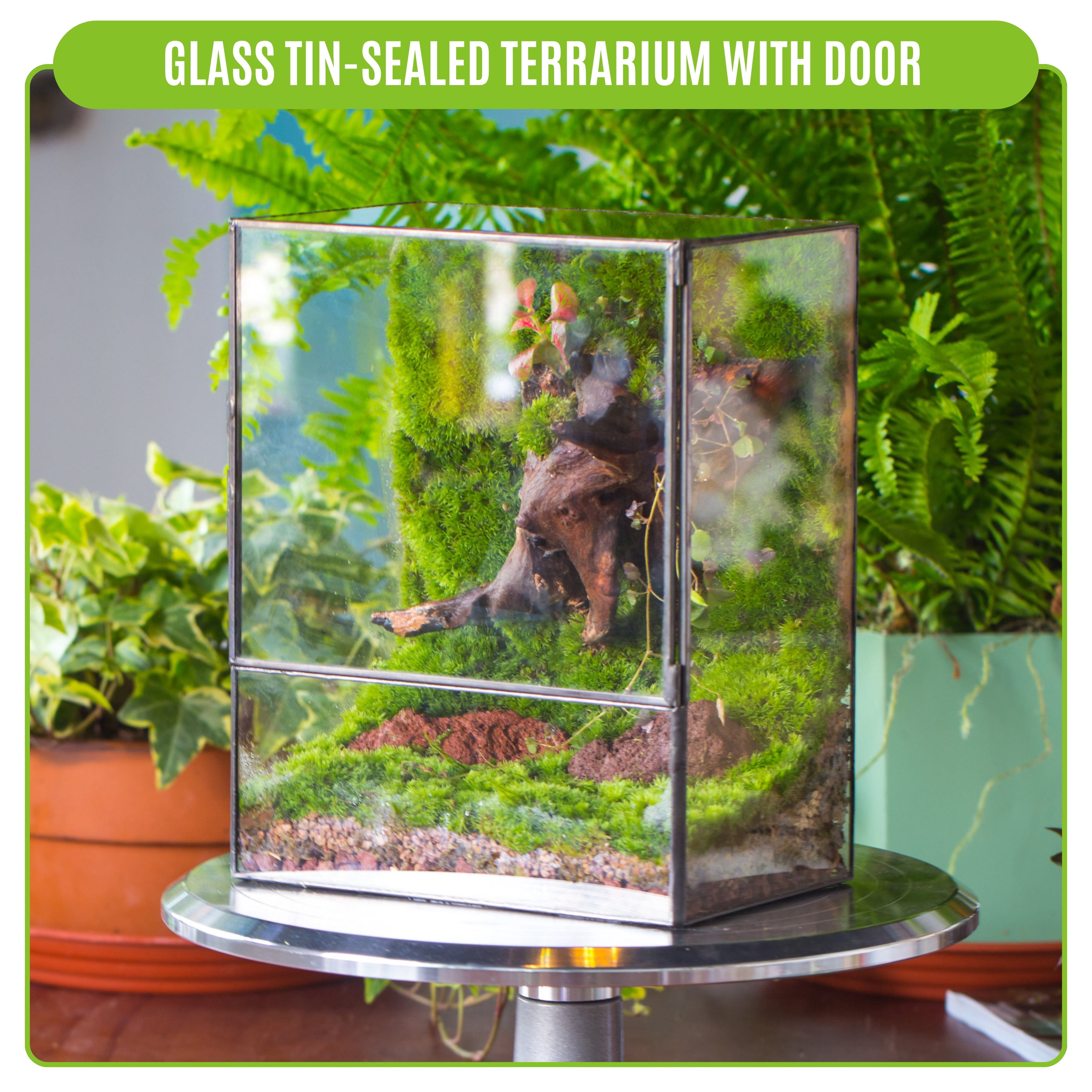 NCYP Small Rectangle Glass Terrarium with Door - Clear Tall Closed Geometric Planter for Moss, Fern, Indoor Tabletop Decor (Terrarium Only)
