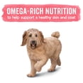 thumbnail image 4 of Purina Beneful Originals Dry Dog Food, High Protein Salmon with Mixed Vegetables, 31.1 lb Bag, 4 of 13