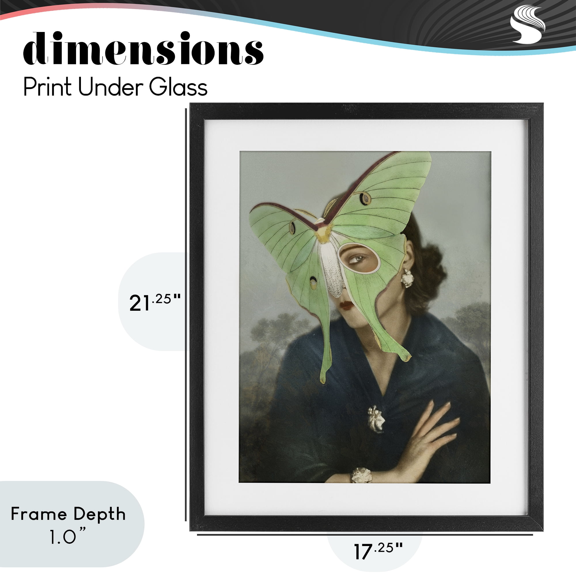 Stupell Industries Naturalist Portrait with Moth Black Framed Print Under Glass, design by Victoria Barnes