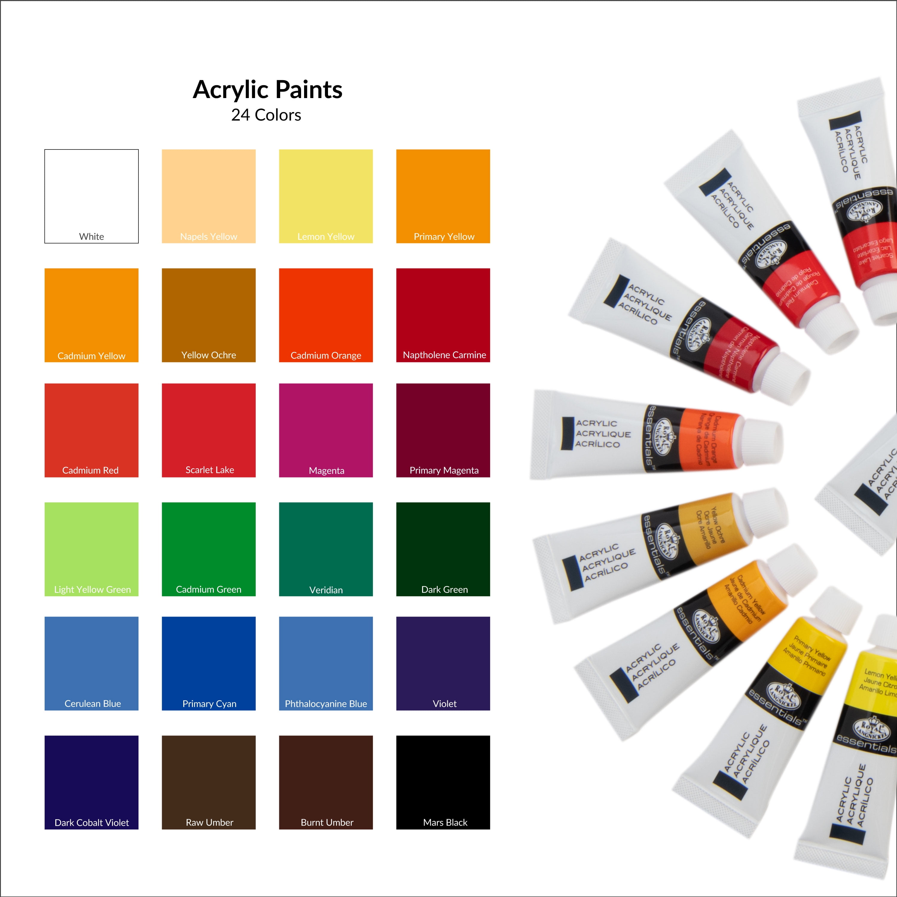 (3 pack) Royal & Langnickel Essentials 24pc Artist Acrylic Paint Set (12ml) | ACR12-24 |