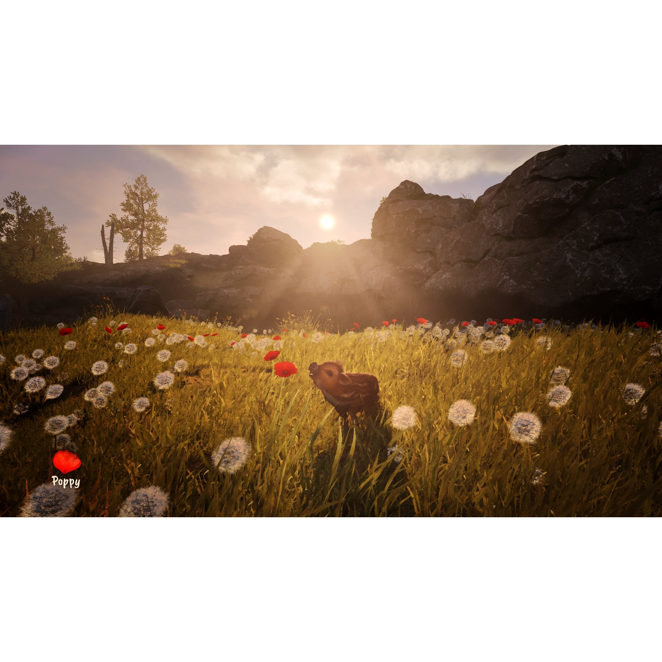 Adorable Adventures - PlayStation 5 Game