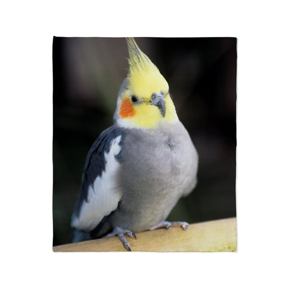 CafePress - Cockatiel Throw Blanket - Soft Fleece Throw Blanket, 50"x60" for All Ages