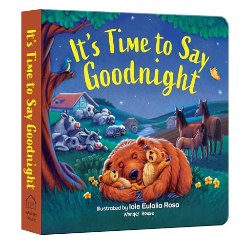 Pre-Owned It's Time to Say Goodnight (Board book) 9358565810 9789358565812