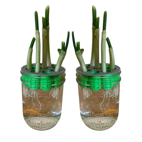 2-Pack Original Green Onion Farms
