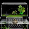 Image thumbnail_image