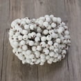 thumbnail image 1 of RENACLIPY 200Pcs Frosted Berry Holly Artificial Flower Decor White for Christmas Tree and Bouquet, 1 of 4