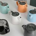 thumbnail image 2 of Authentic Japanese Ceramic Teapot | Stainless Steel Infuser | Elegant and Functional for Afternoon Tea and Ceremonies, 2 of 5
