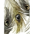 thumbnail image 2 of Sophie 6 19x24 White Modern Wood Framed Museum Art Print Titled - Gold and Silver Feathers I, 2 of 4