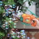 thumbnail image 3 of Funny magic bubble blower bubble machine electric automatic, 3 of 5
