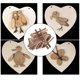 thumbnail image 3 of Rebanadas de Surtido de bloques de de leña para decoraciones Navidad Niños Niños 40 piezas de Macarena Rebanada de tronco natural, 3 of 7