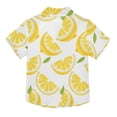 thumbnail image 2 of Dailycode Small Short Sleeve Button Down Shirts Lemon Slice and Leaf Casual Shirt 3-10 Years, 2 of 9