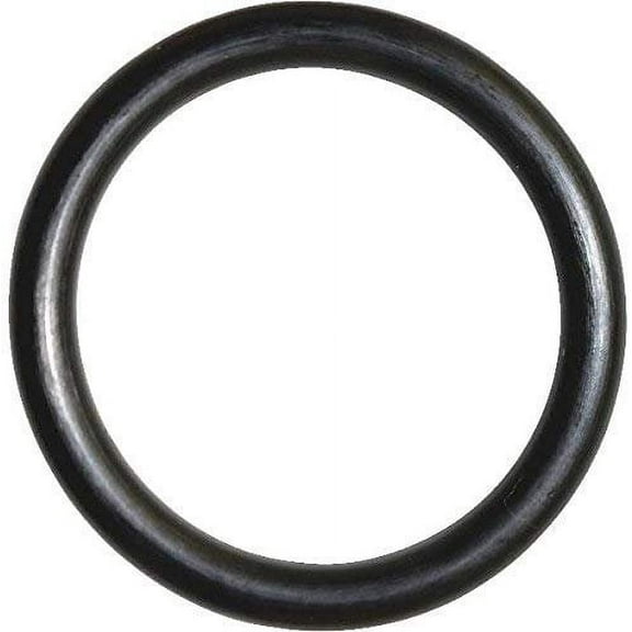 Danco O-Ring 1-1/4 " X 1 " X 1/8 " Nitrile Butadiene Rubber Bagged