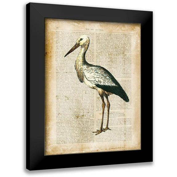 Vision Studio 12x14 Black Modern Framed Museum Art Print Titled - Antiquarian Birds II