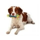 thumbnail image 4 of Juguete para Perros Pet Stages Azul Cool Teething Stick, 4 of 8