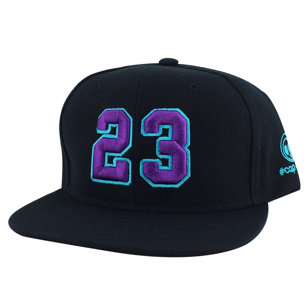 jordan purple hat