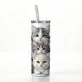 thumbnail image 2 of Sweet Gray And White Cats 20oz Insulated Water Bottle Skinny Tumbler Includes Straw, 2 of 7