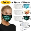 ICQOVD Adult 3Pc Washable Reusable Dustproof Anti-Spitting Protective Face Masks
