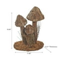 thumbnail image 2 of Tree Bark Mushroom Brown, 2 of 3