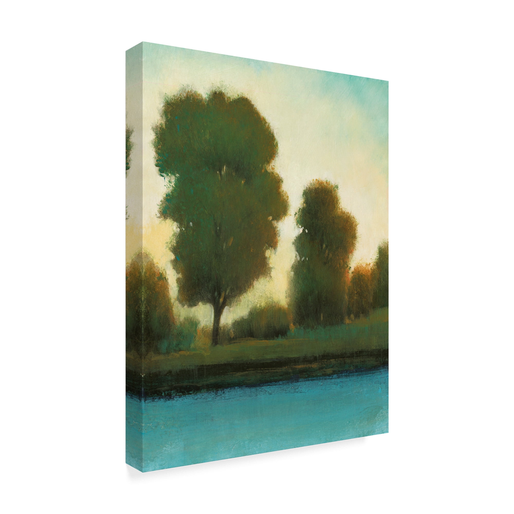 Trademark Fine Art 'Quiet Moment I' Canvas Art by Tim OToole