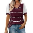 thumbnail image 2 of Raeneomay Lace Tops for Women Women Casual Stitching Mesh Puff Sleeve Printed Short Sleeve V-Neck Pullover Blouse T-shirt Tops, 2 of 4