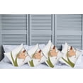 thumbnail image 6 of Ambesonne Hedgehog Throw Pillow Cover 4 Pack, Small Hadgehog, 20", Tan Brown Green, 6 of 6