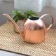 thumbnail image 2 of Lata de riego de acero inoxidable de 500ml de estilo moderno para plantas de interior con mango cómodo, boquilla larga, cuerpo resistente para interiores y exteriores, oro rosa Feliz Sencillez, 2 of 5