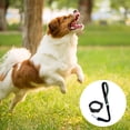 thumbnail image 3 of Dog collar and Leash Set, Nylon collar and leash for dog classic solid color,, 3 of 5