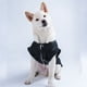 thumbnail image 5 of Ropa de mascotas con engrosado algodón abrigo suave mascotas ropa pequeña disfraces chaquetas elegante hermosa decoración para el frío otoño invierno negro xl Inevent PT000684-11, 5 of 7
