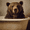 Bear in Bathtub, variant on Qisvanset Raphael Ninja Turtle Artwork Canvas Wall Art 15.75x11.81 INCHES