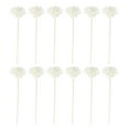 thumbnail image 1 of Miangastore 12Pcs Flower Crafting Sticks Wood Aroma Diffusion Craft Enthusiasts, 1 of 8