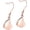 Rose Gold, variant on Heart Memorial Urn Earrings Stainless Steel Heart Cremation Jewelry Drop & Dangle Earrings for Ashes Keepsake Memorial Pendant Ash Jewelry