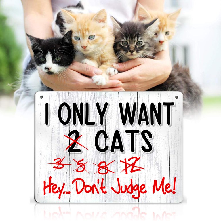 Funny Cat Vomit Sign - Humorous Gag Gift For Cat Owners, Cat Mom & Dad, Pet Lovers Decor