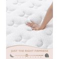 BedStory King Mattress 12 Inch Hybrid Mattress in a Box