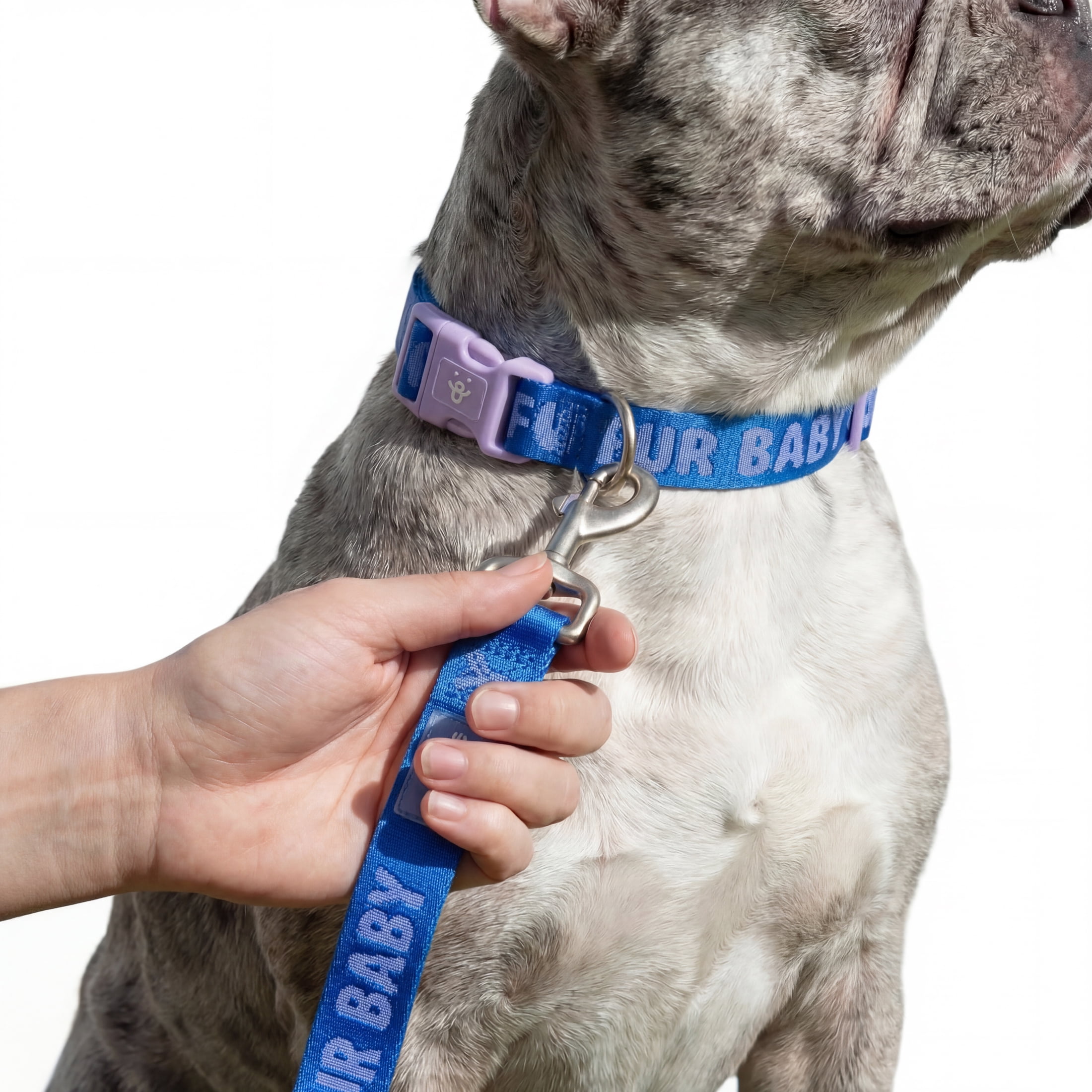 Oodles Fur Baby Standard Dog Leash, Blue, 6 ft