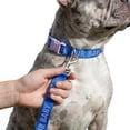 thumbnail image 3 of Oodles Fur Baby Standard Dog Leash, Blue, 6 ft, 3 of 8