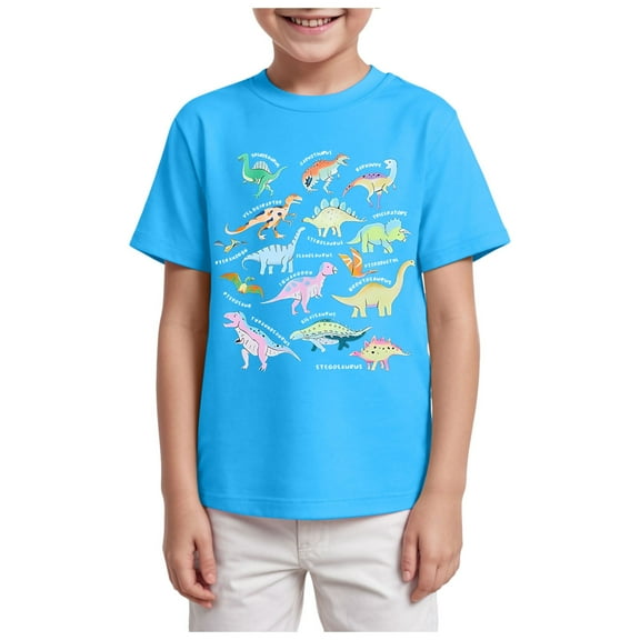 adviicd Boys Summer Shirts Boys' Short Sleeve Crew Neck T-Shirt, Soft, Comfortable, Relaxed Fit (Sky Blue,11-12 Years)