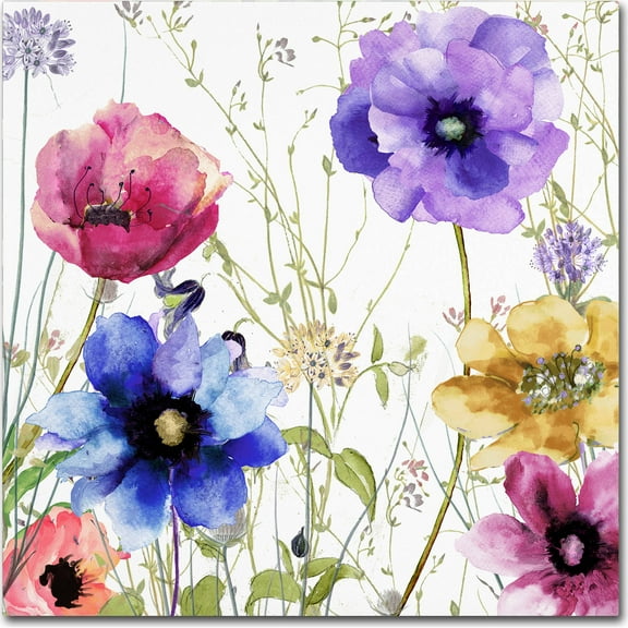 Trademark Fine Art Floral Canvas Art ' Summer Diary II ' by Color Bakery