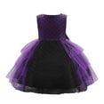 thumbnail image 3 of Baby Witch Outfits Tutu Dress Fairy Tale Wicked Witch Outfit Toddler Halloween Outfit Girls Toddler Kids Baby Girls Dress 9-12 Months, 3 of 9