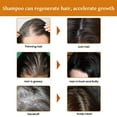 thumbnail image 3 of Productos para el cuidado del cabello Champú de arroz para cabello que nutre el cabello 100 ml Champú para adultos, 3 of 5
