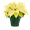 White Green, variant on Expert Gardener Pint White Poinsettia Live Plant Red Foil Cover Indirect Sun 6 Pack