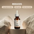 Skin Deva 20 Vitamin C E Antioxidant Ferulic Serum for Skin Treatment