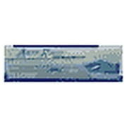 Arctic Relief External Gel, Natural Menthol 4 oz - (Pack of 2)