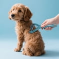 thumbnail image 4 of Cepillo suave y pequeño para el aseo, para eliminar el pelo muerto y el exceso de pelo; peine ligero para gatos y perros; cepillo alisador de fácil limpieza para uso doméstico, 4 of 7